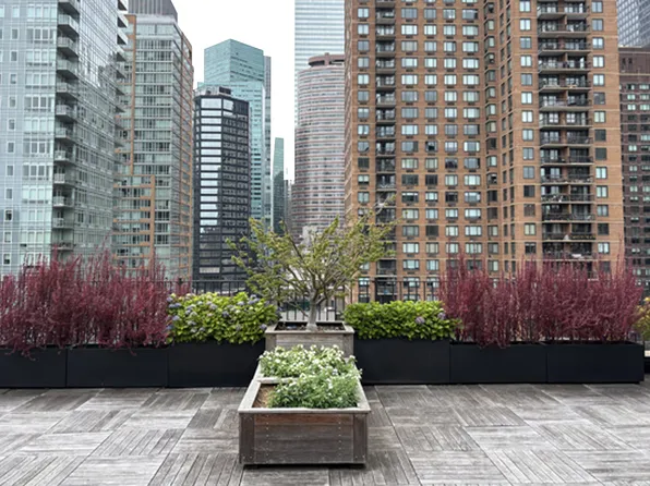 333 East 53rd Street image 15 of 22