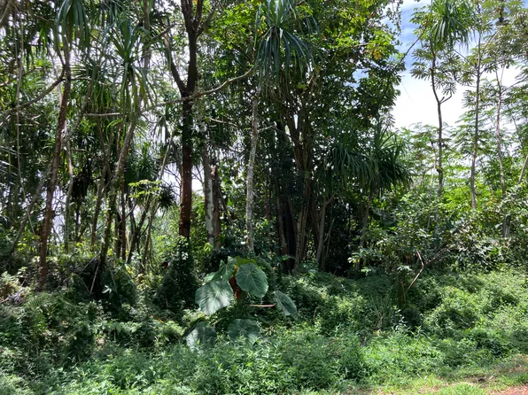 Opakapaka St Lot 1627, Pahoa, HI 96778