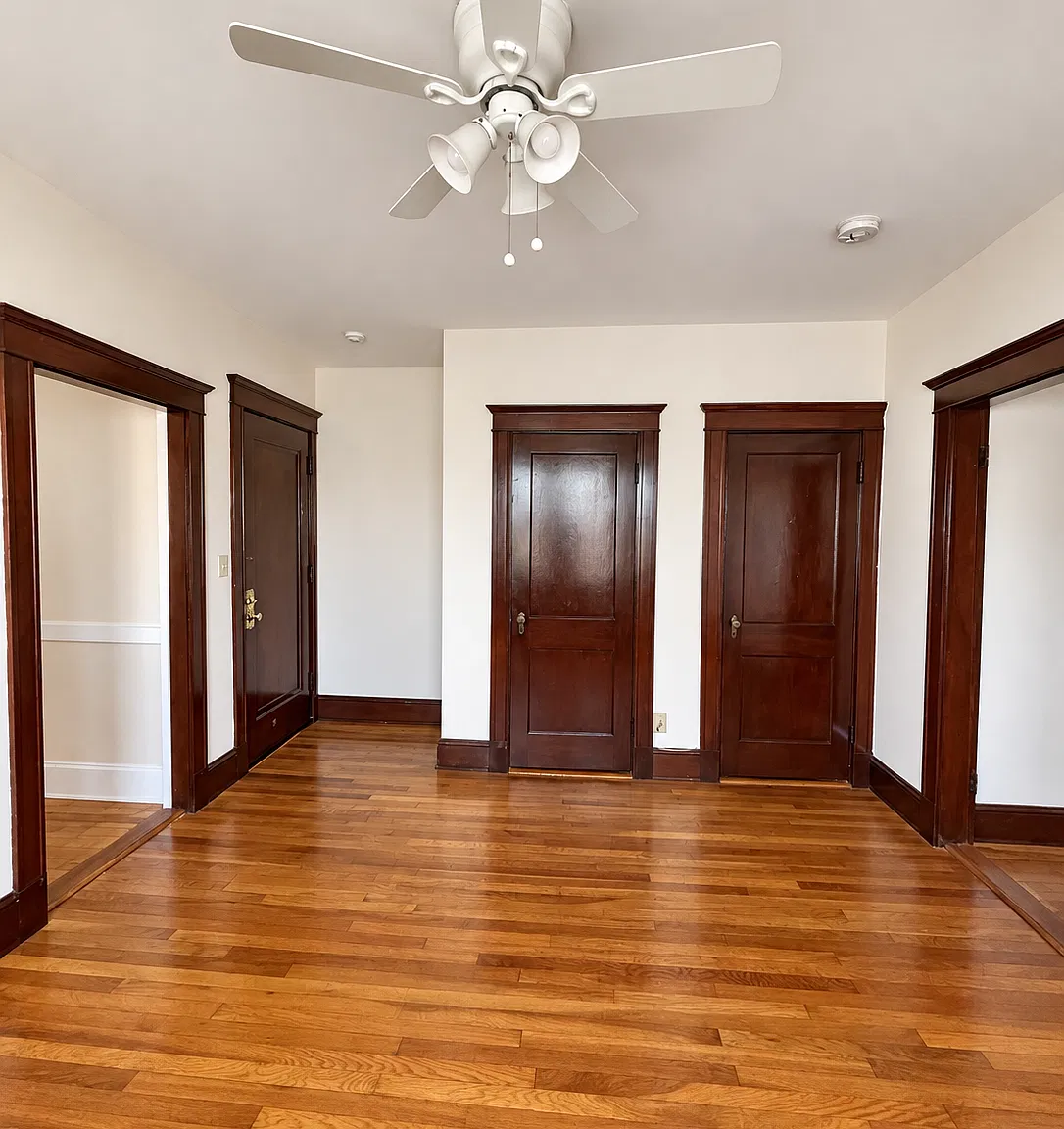 20 Kemper Street — Photo 4