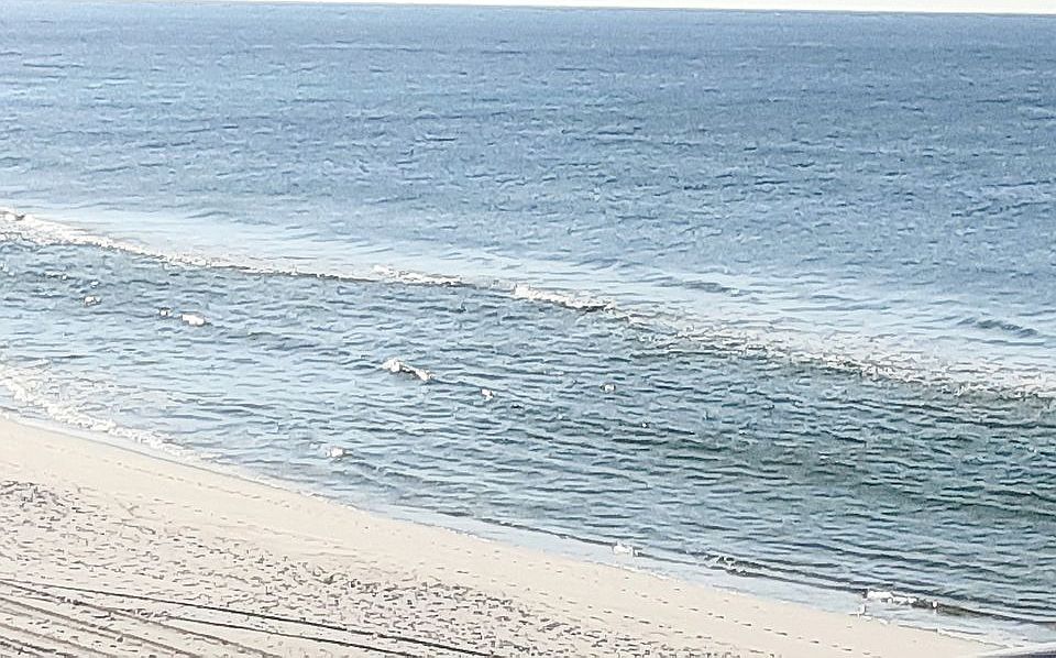 Watch & listen to the waves!