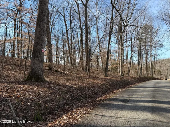 0 Noah Stevenson Rd, Bee Spring, KY 42207