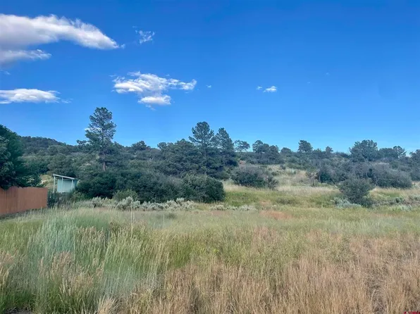 Lot 13 Primrose Lane, Bayfield, CO 81122
