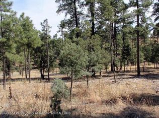 106-108 State Highway 48, Alto, NM 88312
