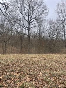 Turner Ridge Rd, Falmouth, KY, 41040