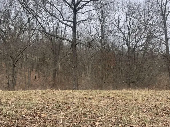Turner Ridge Rd, Falmouth, KY 41040