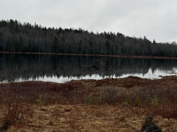 0 Guzzle Road, Gouldsboro, ME 04607