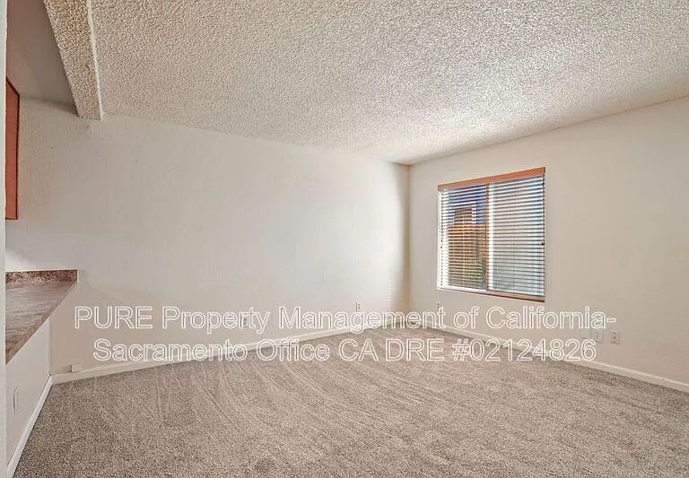 317 U St #2 — Photo 3