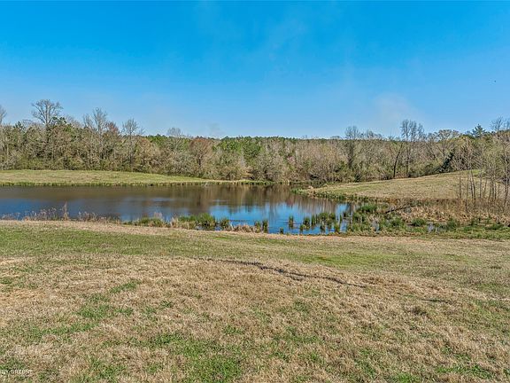 3rd image of 203 Thomas Rd