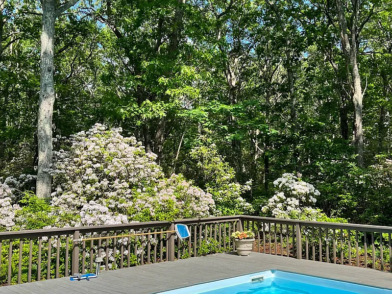 224 Widow Gavits Rd — Photo 23