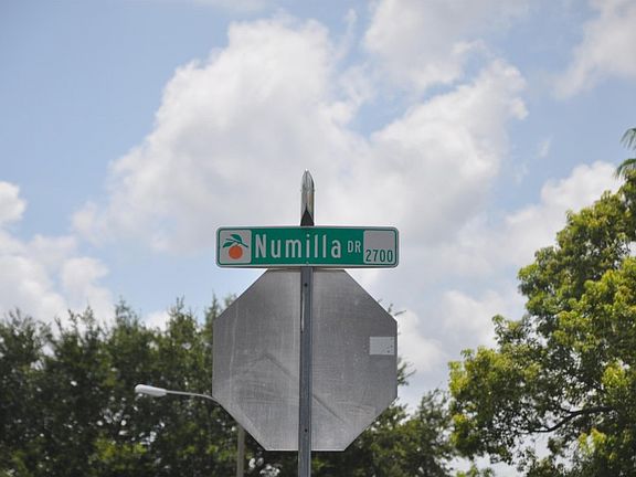 5th image of 2625 Numilla Dr