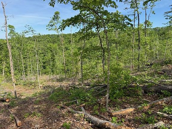 2nd image of County Road 305a