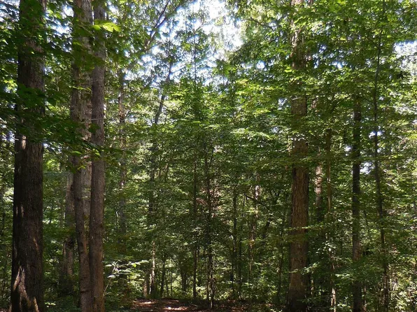 0 2nd St, Bowdon, GA 30108