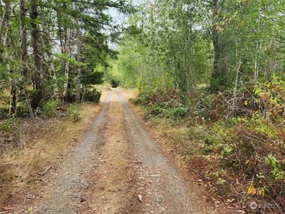 0 x W Bear Creek Dewatto Road, Belfair, WA, 98528
