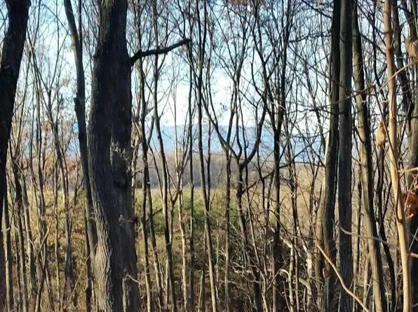 Tbd Chestnut Ridge Rd, Staunton, VA 24401