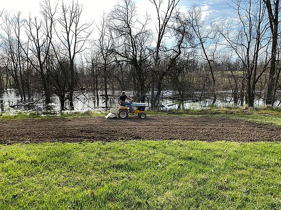 Garden area - wetland beind