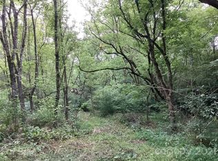 0 NW Grapevine Rd, Marshall, NC 28753