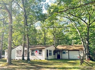 7673 W Five Mile Rd, Irons, MI 49644