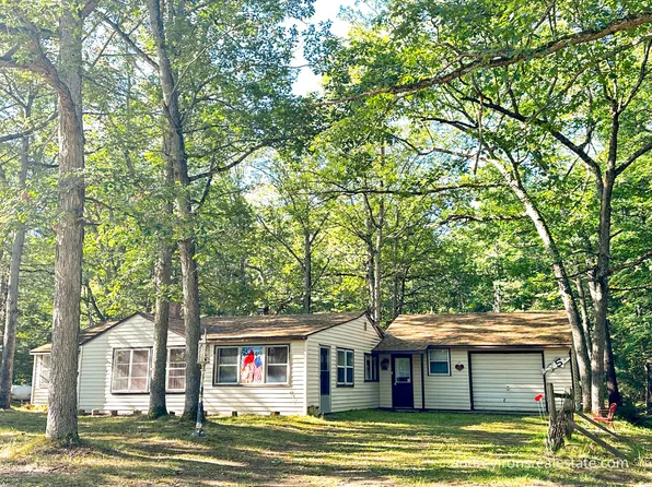 7673 W Five Mile Rd, Irons, MI 49644