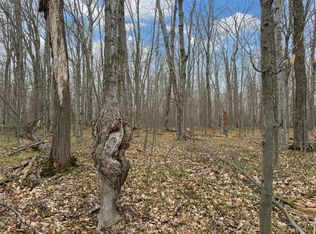 Latocha Dr, Pellston, MI 49769
