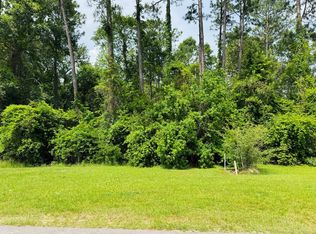 83 Spring Oak Dr, Carriere, MS 39426