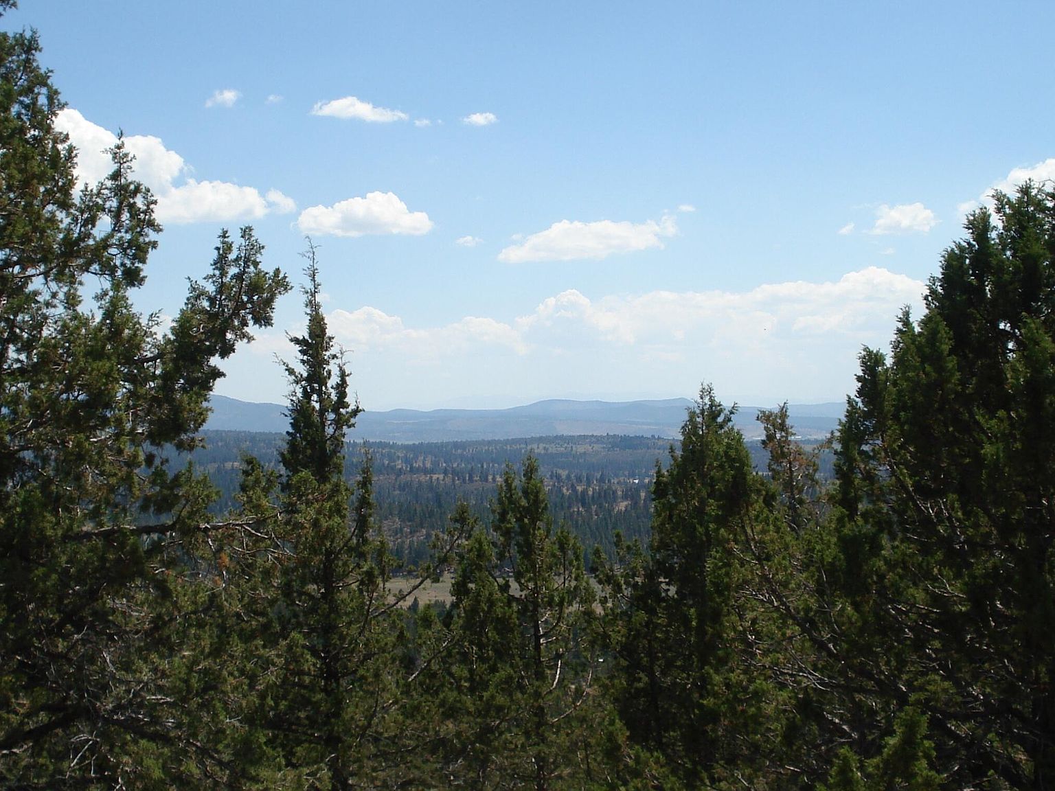 LOT 55 Thrasher Dr, Bonanza, OR 97623 | MLS #220166378 | Zillow