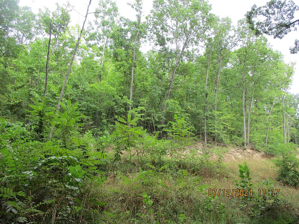 2nd image of Black Bear Ln