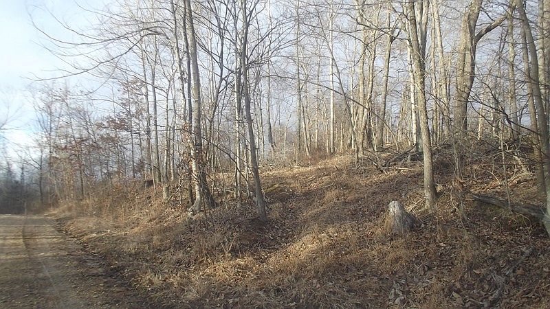 2nd image of 225 Hileman Ln