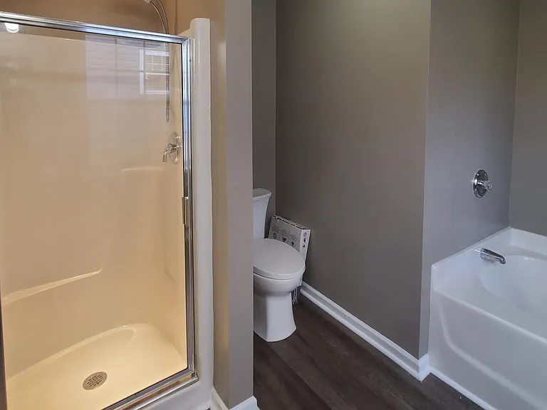 Elongated Toilet