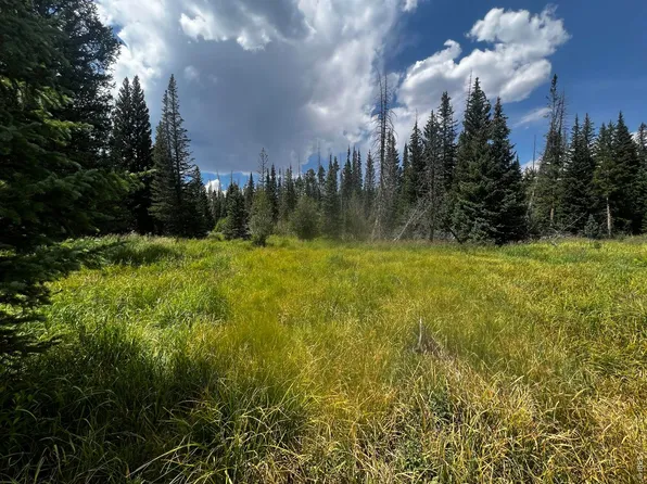 0 Forest Service Rd #169, Red Feather Lakes, CO 80545
