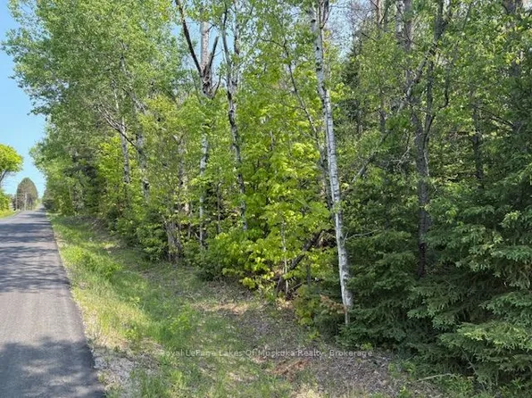 147 So Ho Mish Rd, Perry, ON P0A 1J0