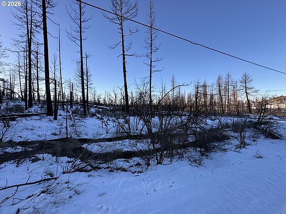 5th image of Hummingbird Dr #1