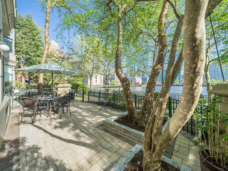 300 sq. ft patio, with tall trees