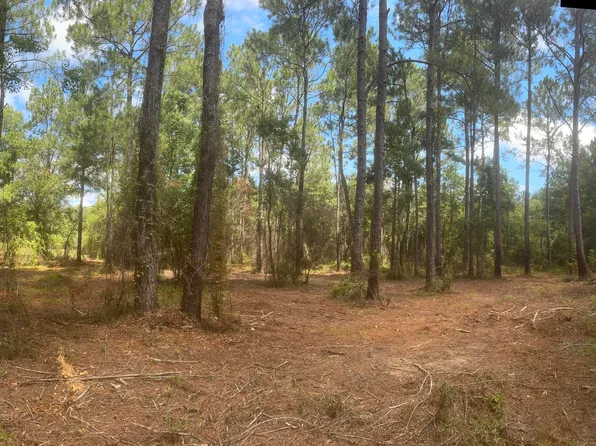 Lilly Coleman Rd, Lucedale, MS 39452