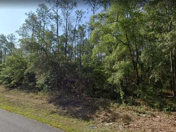 546 E Bimini Dr, Citrus Springs, FL 34434