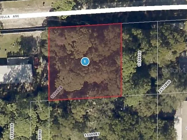 Luella Ave, Paisley, FL 32767