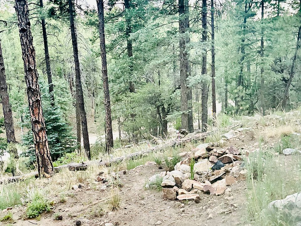 Sorrounded by Prescott National Forest
