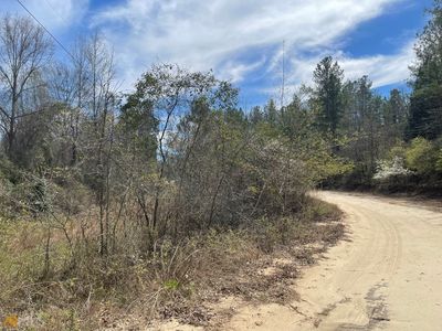 0 Purple Rd, Byron, GA, 31008