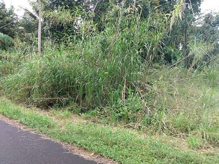 1st image of Ono St Lot 3
