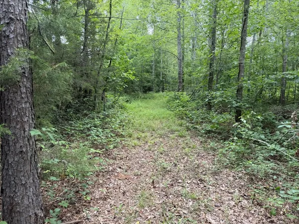 0 Corner Rd, Java, VA 24565