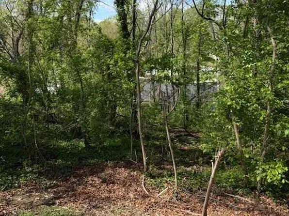 99999 Reese St, Woodfin City, NC 28804