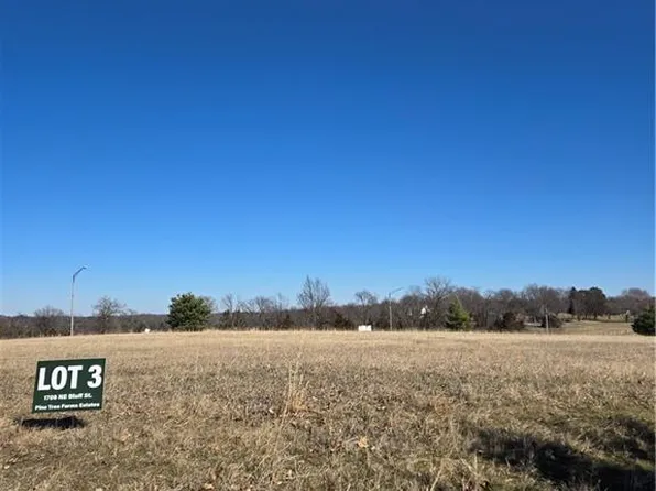 1708 NE Bluff St, Lees Summit, MO 64086