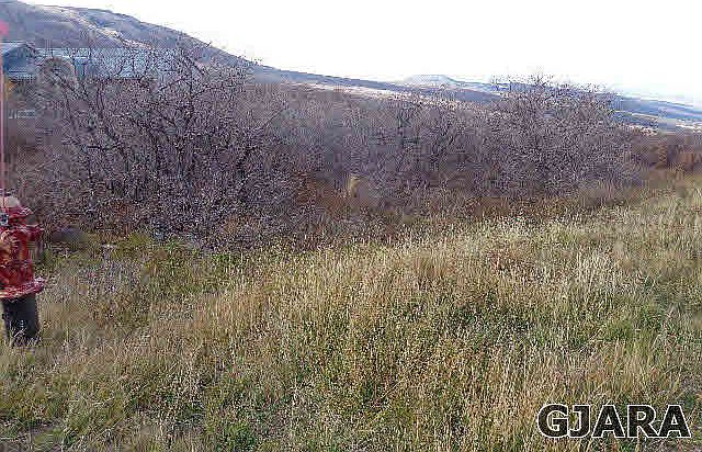 2nd image of 409 Coyote Run