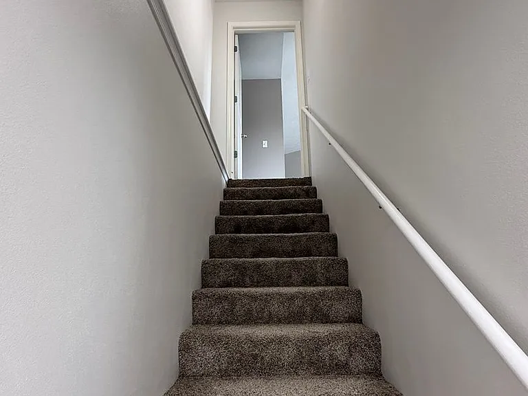185 Bald Cypress Ct — Photo 21