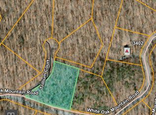 37 White Oak Mountain Rd, Columbus, NC 28722