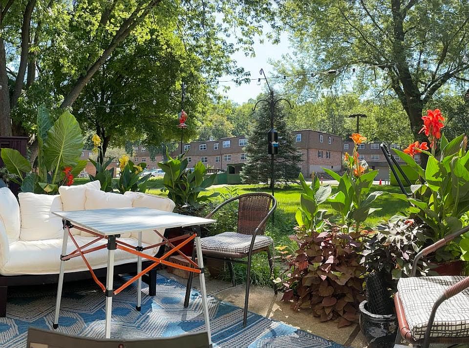 Our garden gets bigger every year