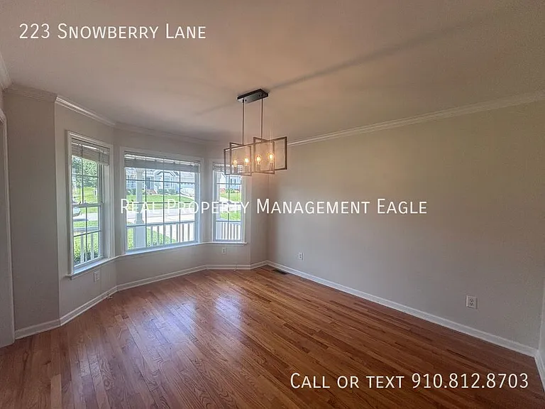 223 Snowberry Ln — Photo 5