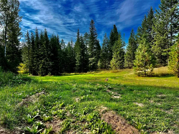 235 High Camp Trl, Bigfork, MT 59911