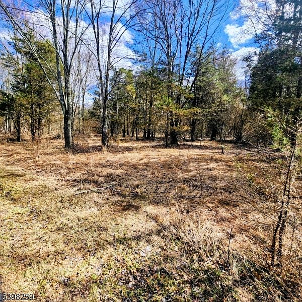 2nd image of 2 Shrope Ln