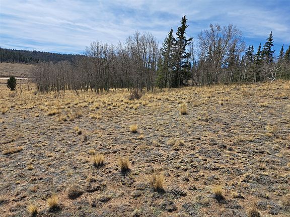 5th image of 541 War Lane