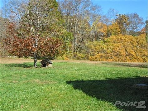 Large, Level Backyard